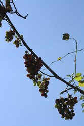 Similar image 898934