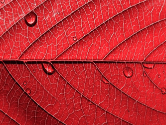 Similar image 898936