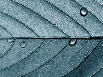 Similar image 898940