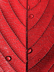 Similar image 898943