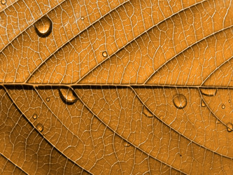 Similar image 898945