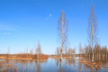 Similar image 898949