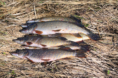 Similar image 898960