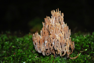 Similar image 899037