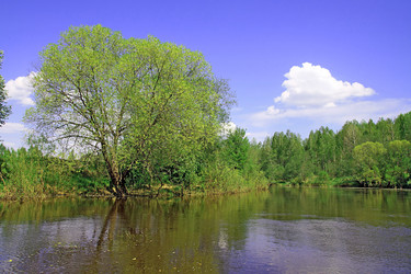 Similar image 899050