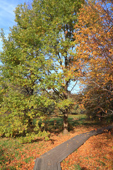 Similar image 899064