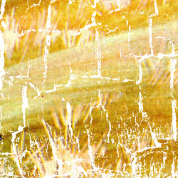 Similar image 899076