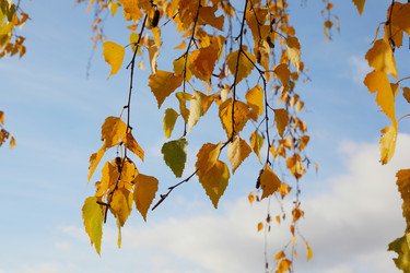 Similar image 899089