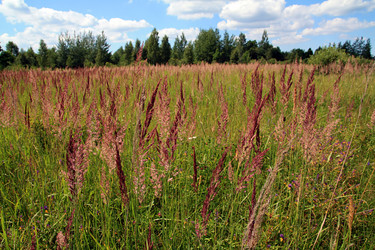 Similar image 899095