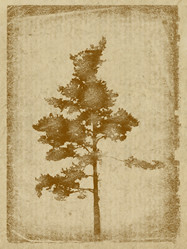 Similar image 899100