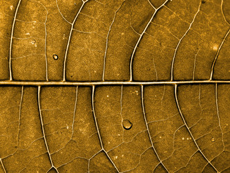 Similar image 899116