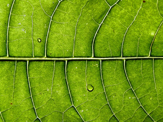 Similar image 899117