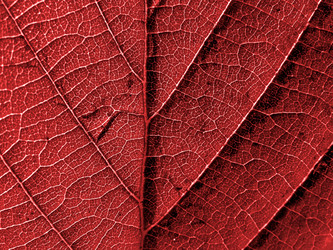 Similar image 899118