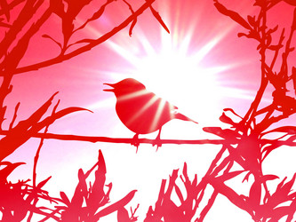 Similar image 899123