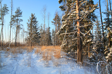 Similar image 899139