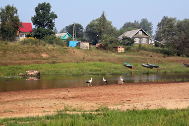 Similar image 899152