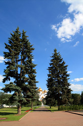 Similar image 899158