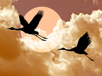 Similar image 899190