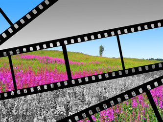 Similar image 899205