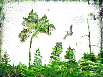 Similar image 899227