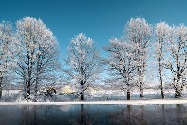 Similar image 899234