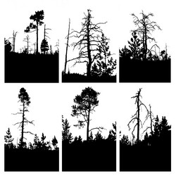 Similar image 899310