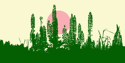 Similar image 899312