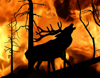 Similar image 899330