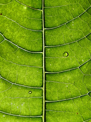 Similar image 899335