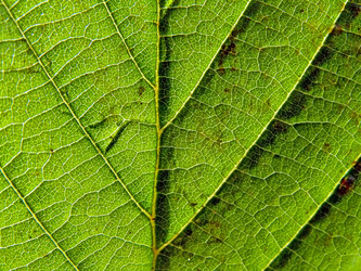 Similar image 899336