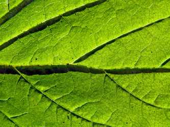 Similar image 899337