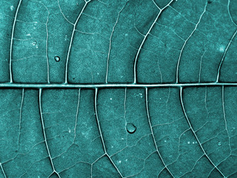 Similar image 899349