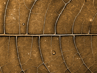 Similar image 899352