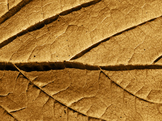 Similar image 899355