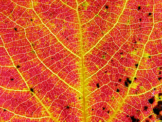 Similar image 899358