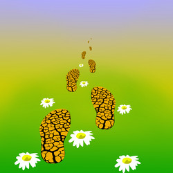 Similar image 899372