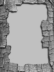 Similar image 899399