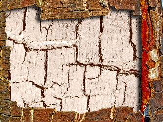 Similar image 899405