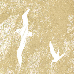 Similar image 899412