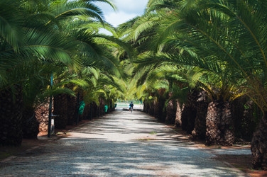 Similar image 899429