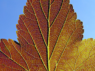 Similar image 899508