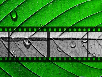 Similar image 899532