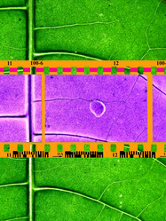 Similar image 899539