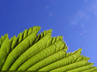 Similar image 899550