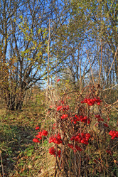 Similar image 899557