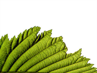 Similar image 899563