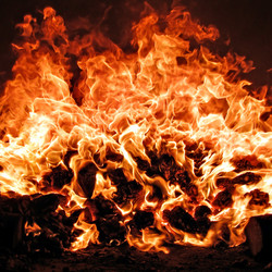 Similar image 899595