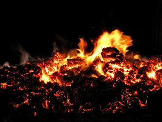 Similar image 899603