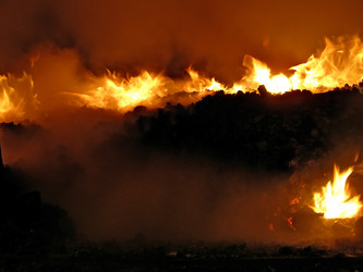 Similar image 899614