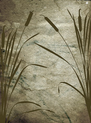 Similar image 899665